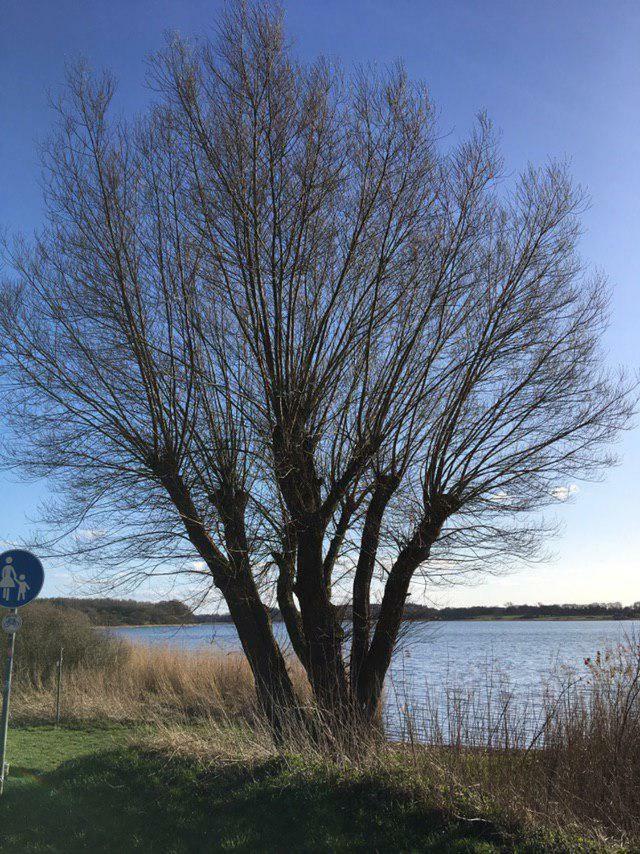 Ferienwohnung Am Noor Nahe Schleswig Und Dem Wikingerdorf Haithabu Fahrdorf  Esterno foto