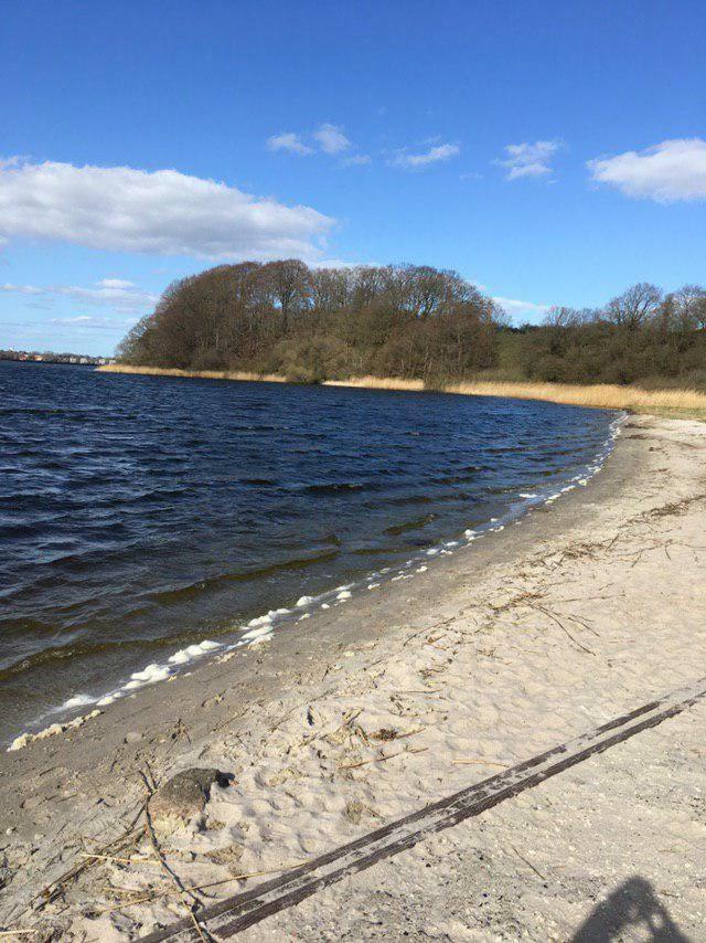 Ferienwohnung Am Noor Nahe Schleswig Und Dem Wikingerdorf Haithabu Fahrdorf  Esterno foto